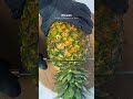 Jus Sehat Lemon, Jahe, Kunyit & Nanas | Minuman Alami untuk Daya Tahan Tubuh