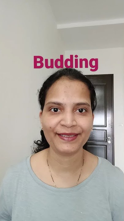 100-hindi-words-with-tamil-meanings-hindi-word-meaning-daily-use