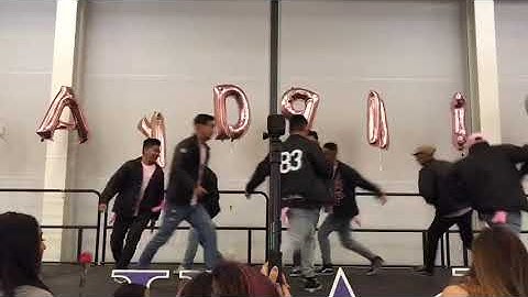 APSIRHO Stroll Case 2018