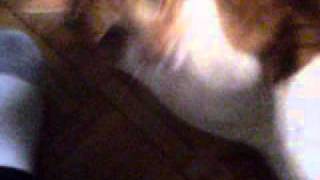 SUNP0010.AVI