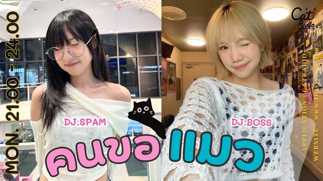 #คนขอแมว