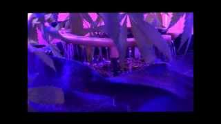Kushington Farms Info Video  Lush Lighting grows 1 pound plants Mini watering system
