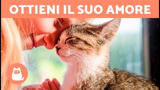 Come rendere un GATTO più AFFETTUOSO?  (5 consigli)