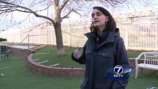 Long-Lost Dog Going Home