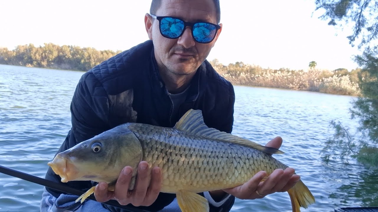 𝗣𝗲𝘀𝗰𝘂𝗶𝘁 𝗹𝗮 𝗽𝗹𝘂𝘁𝗮 𝗰𝘂 𝗽𝗼𝗿𝘂𝗺𝗯 𝗳𝗶𝗲𝗿𝘁👉am prins un CRAP frumos 🎣 YouTube
