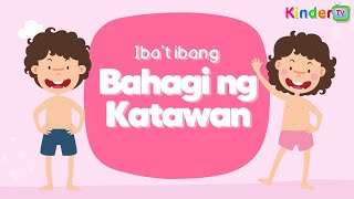 [Q1] KINDERGARTEN - WEEK 6 (Iba't ibang Bahagi ng Katawan)