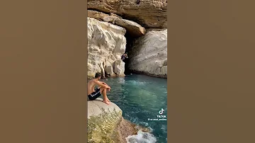 فاطيما شوفيني راني طائر 
