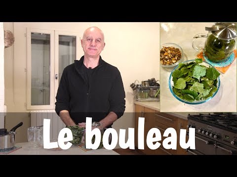 Vidéo: Description du bouleau pour les enfants. Description de la feuille de bouleau