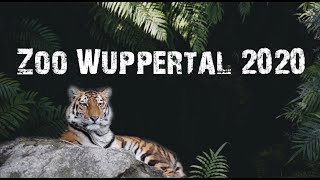 Zoo Wuppertal Winter 2020