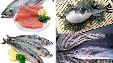 4 Loại cá mẹ bầu không nên ăn trong thời kỳ mang thai