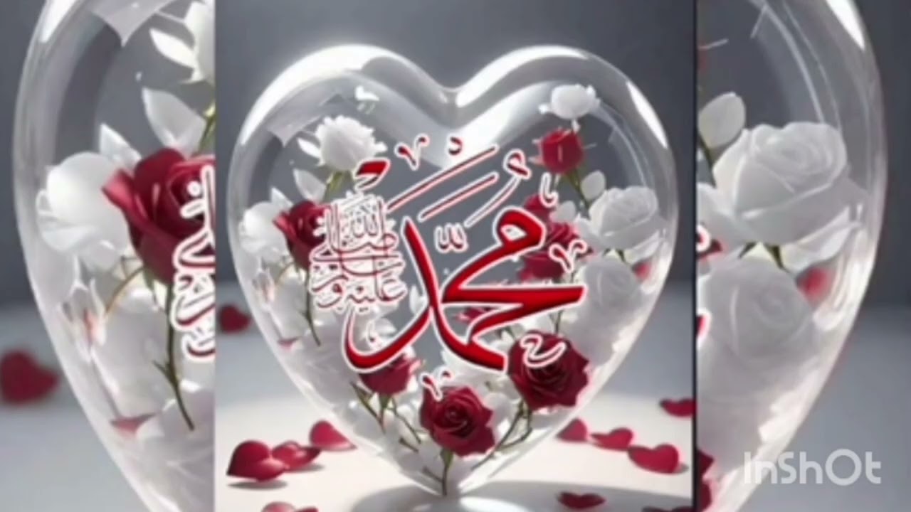 Allha name butiful quotes 🌺💝 in 2025......allha dp profile photos WhatsApp.........