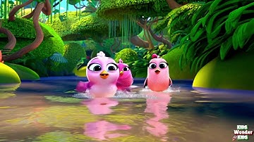 🐦💦 The Birds