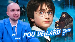 Harry Potter à l'École des Sorciers - Le Pire Éditeur au Monde by LinksTheSun 334,596 views 1 year ago 14 minutes, 18 seconds