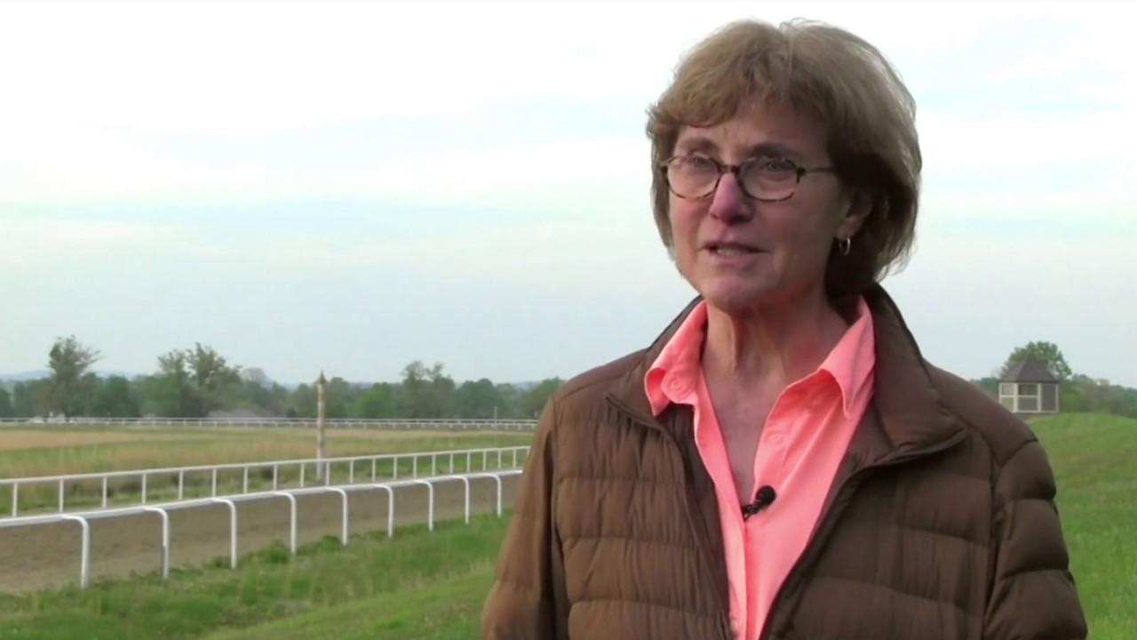 Paula Parsons Horse Jobs Are Real Jobs YouTube