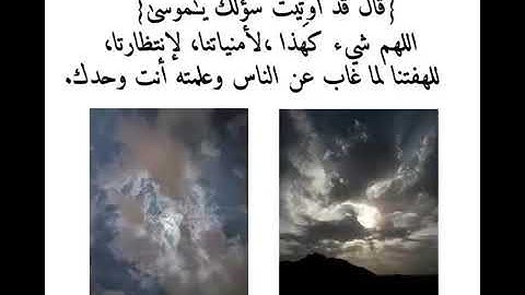 قَالَ رَبِّي اشْرَحْ لِي صَدْرِي تلاوة هادئة 🎧،وخاشعة لفضيلة الشيخ *شريف مصطفى* 🍃