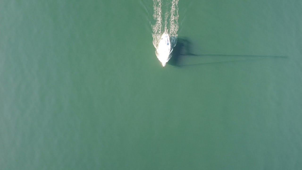 Sailboat Passing Through in the Salish Sea