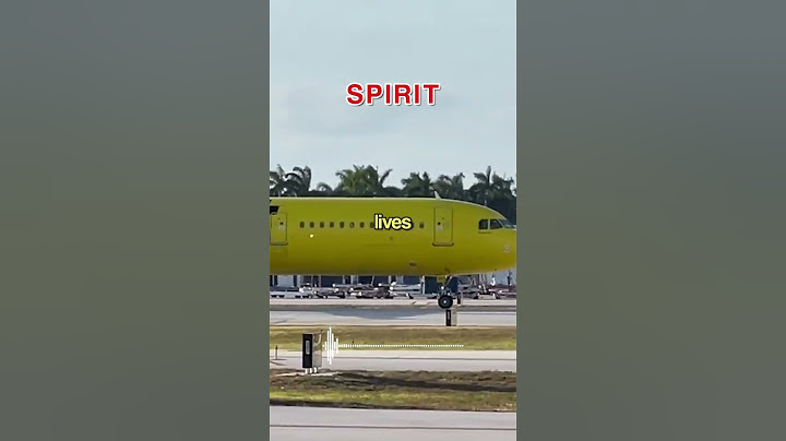 Spirit Pilot Ignores ENDANGERED BIRD 😳