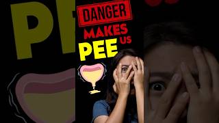 Danger Causes Us To Urinate?! 🤔💣🥵 - FutureIQ