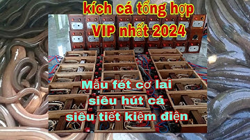 Kích cá tổng hợp , siêu rô phi lóc trê lươn tổng hợp. LH 0974234393