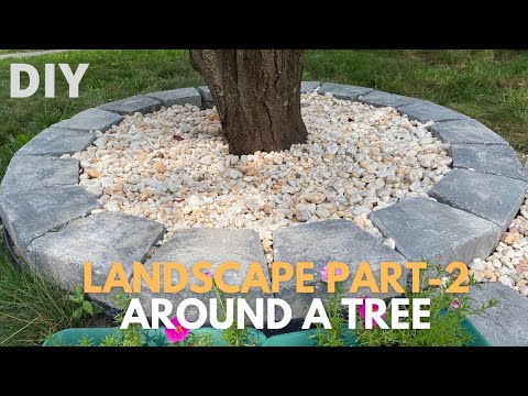 Landscape Part 2 - Landscaping around a Tree