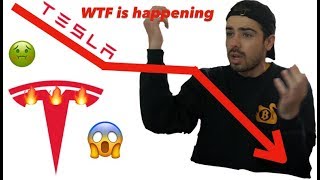 OMG Tesla Is Crashing 😱📉 WTF Is Happening?