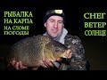 Рыбалка на карпа на сломе погоды ранней весной / СНЕГ, ВЕТЕР ,СОЛНЦЕ