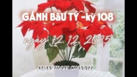 GÁNH BẦU TÝ - kỳ 108 - TRỜI CHUYỂN SANG ĐÔNG - Ngày 12 tháng 12 năm 2025