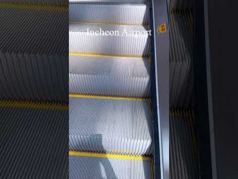 해외여행은 인천공항과 함께🩵