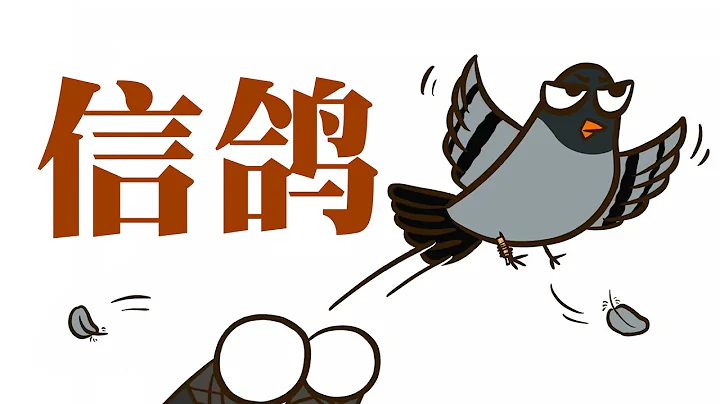 【科普】飛鴿傳書是怎麽做到的？ - 天天要聞