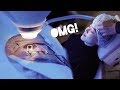 My Lasik Surgery Experience + Live Footage! | JLINHH