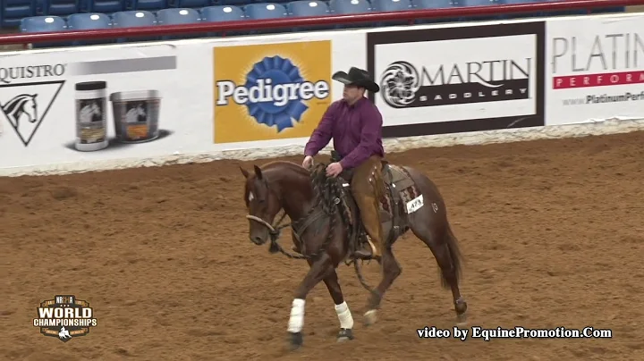 Senor Shiney Cat ridden by Mark A. Sigler - 2018 C...