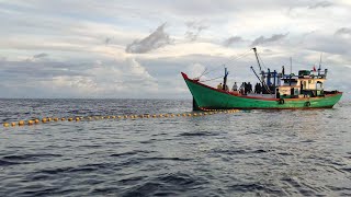 Download Lagu Pukat cincin, Nelayan Indonesia Dapat Banyak Ikan, luar biasa hasil tangkapan nelayan Indonesia MP3