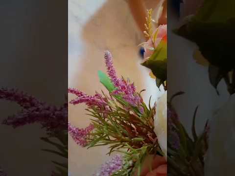 يلعن عيشه دار اهلي اكسبلور المغرب العراق الامارات الاردن Pizza