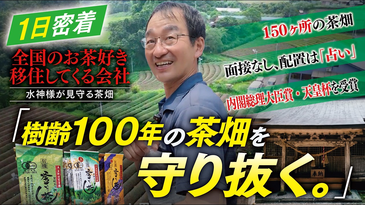 龍さん　無農薬栽培の川根茶　健康長寿のお茶　農家直売 茶農家】誰もやらなかった無農薬に挑み、世界へ輸出するまで｜宮﨑茶房