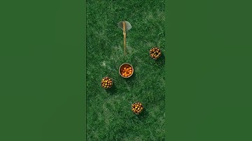 Can the arrow hit the orange🍊? #superzoom #loop #art #infinite #relax #imagine #closeup #transition