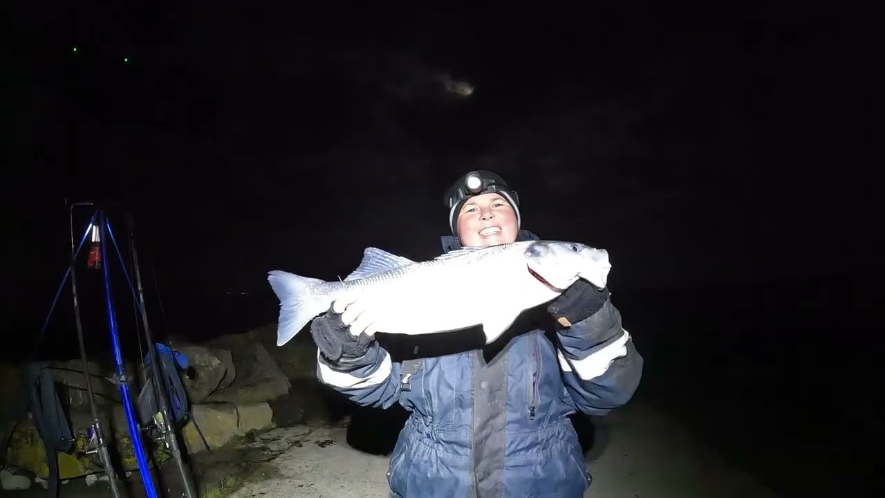big bass after the storms, 25.10.26… #seafishinguk #seafishing #bristolchannel