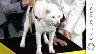 公開初日に名バイプレイヤー「風」が来た！　映画『バイプレイヤーズ もしも100人の名脇役が映画を作ったら』初日舞台挨拶