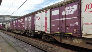 【Japan Railway】4095レ EF510-513青 牽引コンテナ