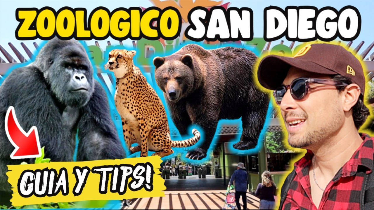 ZOOLÓGICO DE SAN DIEGO! 🦁🦒 Precios, Guía COMPLETA 🇺🇸✅