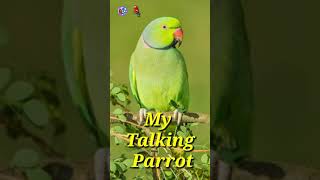 Talking Parrot???