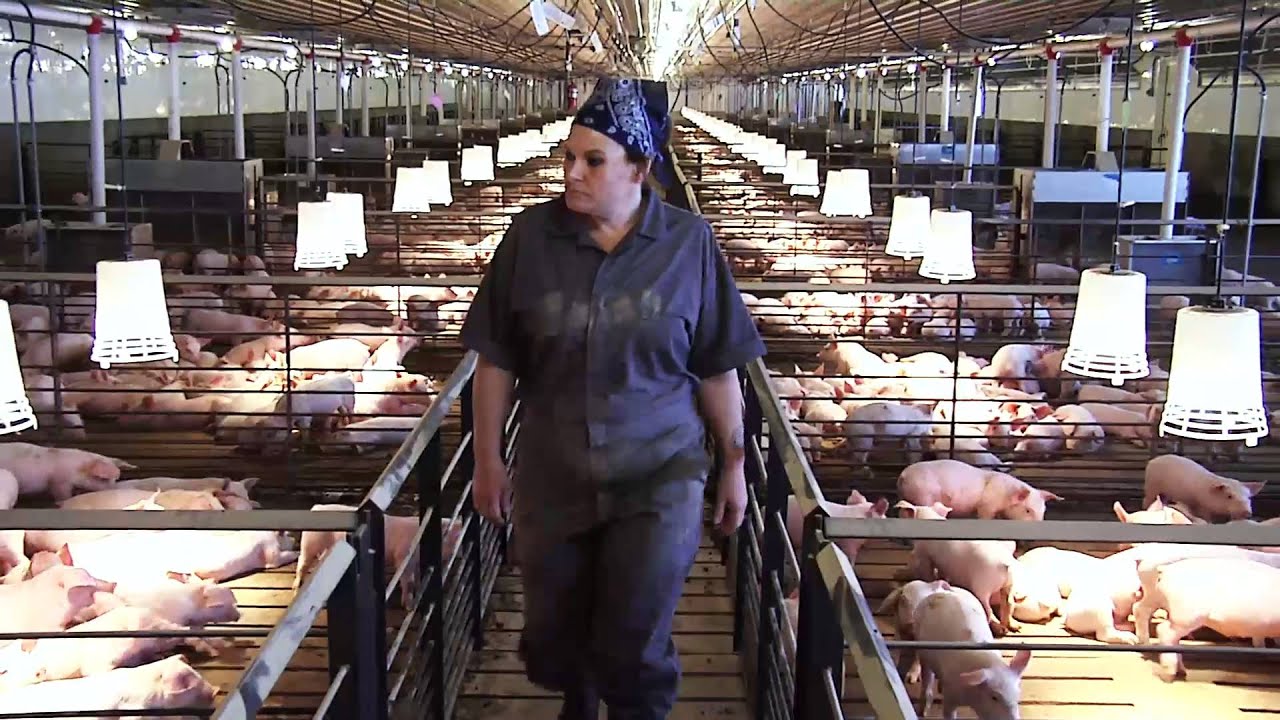 Wean To Finish with revisions