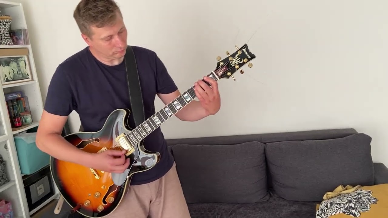 Ibanez jsm10 guitar - first impression - YouTube