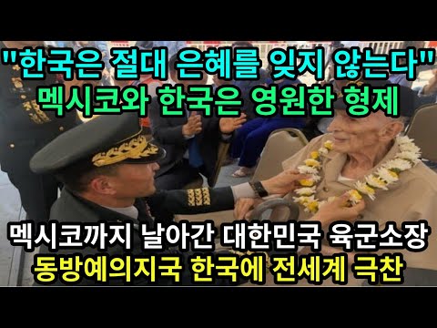 멕시코에 대한민국 육군 소장이 날아간 이유 "한국은 절대 은혜를 잊지 않는다" 해외반응