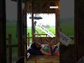 Relaxing Rain in a Rural Bamboo House 🌧️ | ASMR Sleep Sounds | #Shorts