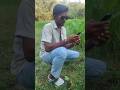 मुझे किसी भी कीमत पर 1 iPhone  चाहिए #viral #comedyshorts #comedy #funny #funnyshorts @youtube
