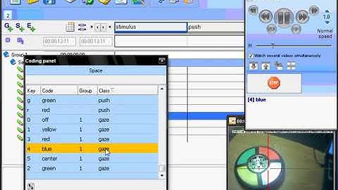 Coding head mounted eye tracking video with INTERACT
