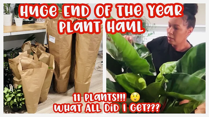 Huge End of the Year Houseplant Haul || Home Depot...
