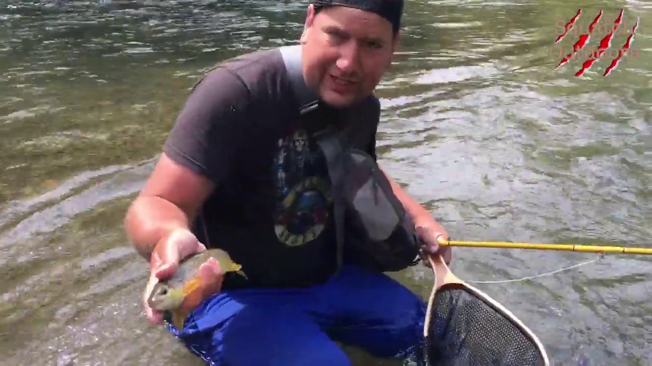 Fly Fishing Central Pennsylvania's Spring Creek Brown & Rainbow Trout