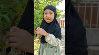 Hadist menghormati guru 🥰🥰#shortvideo