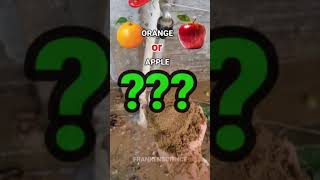 You Will Fail One Of Them? Orange Or Apple?